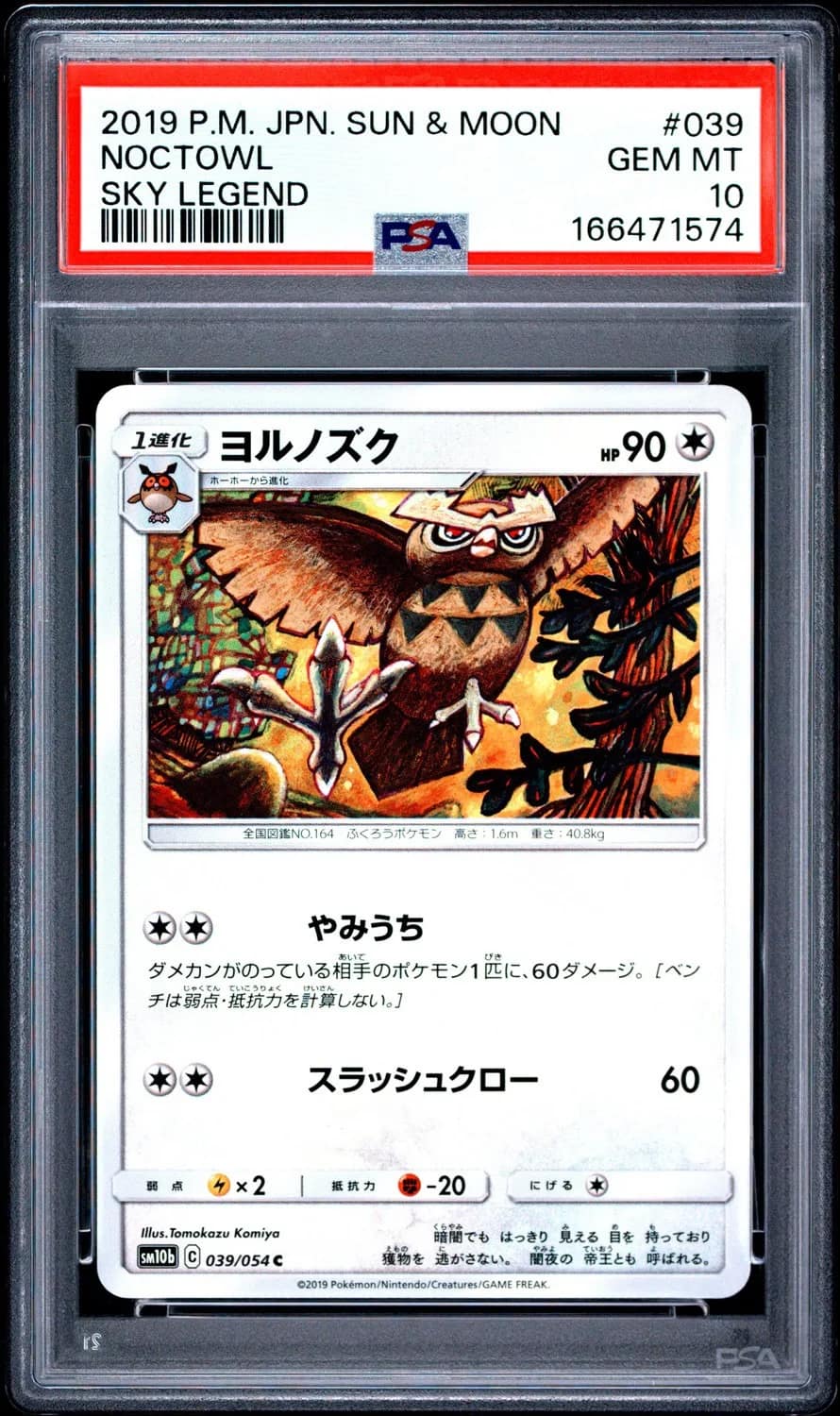 Noctowl