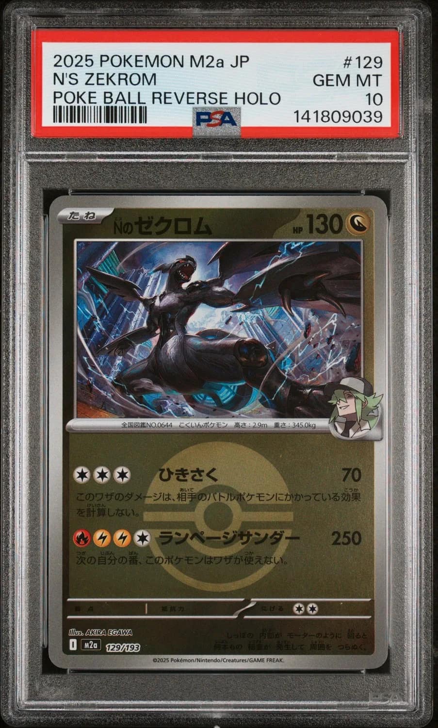 N'S Zekrom