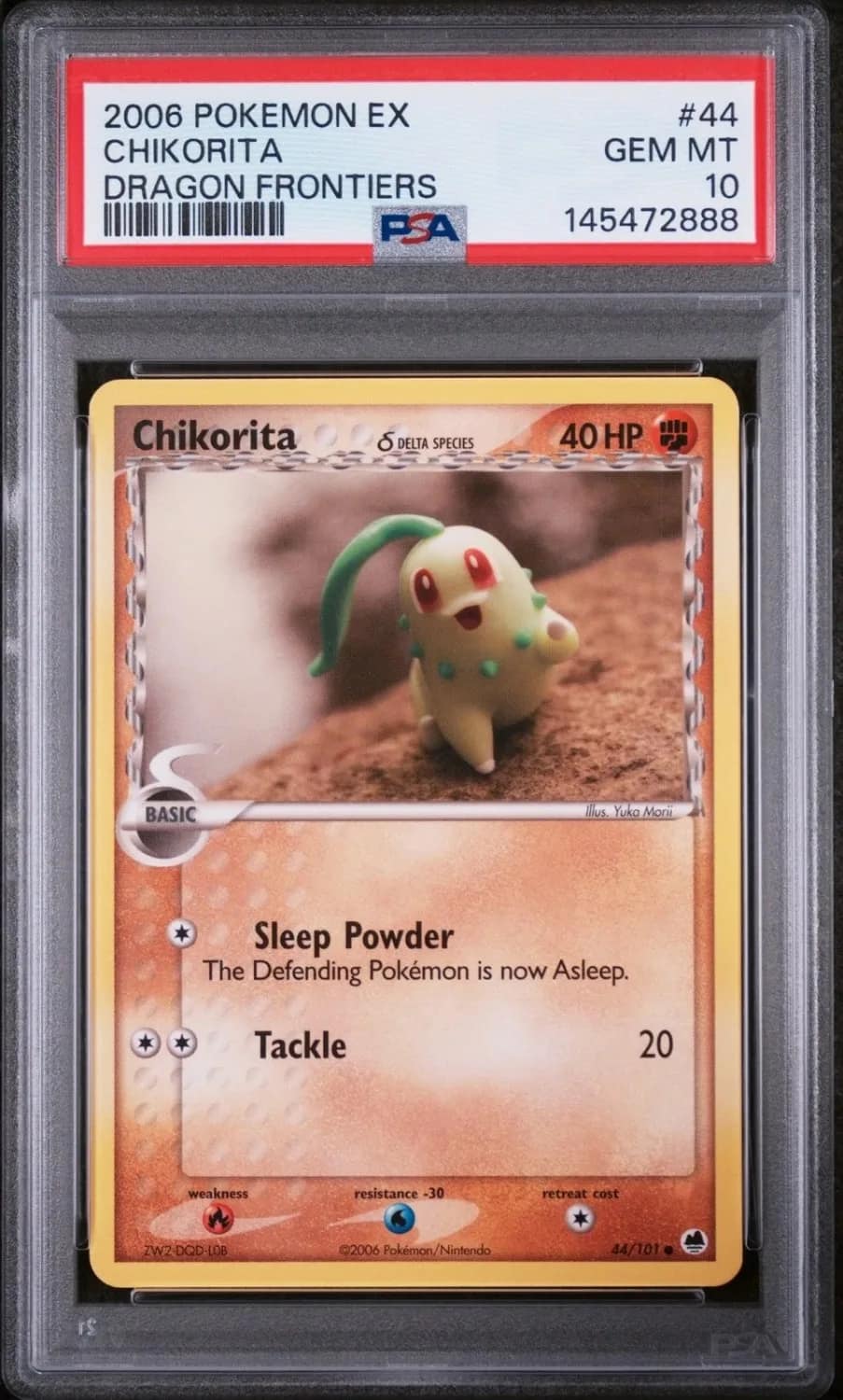 Chikorita δ