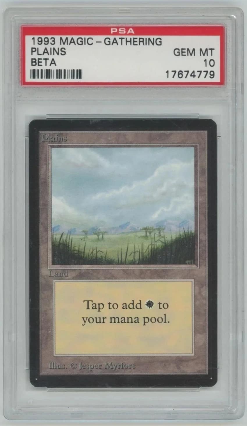 Plains