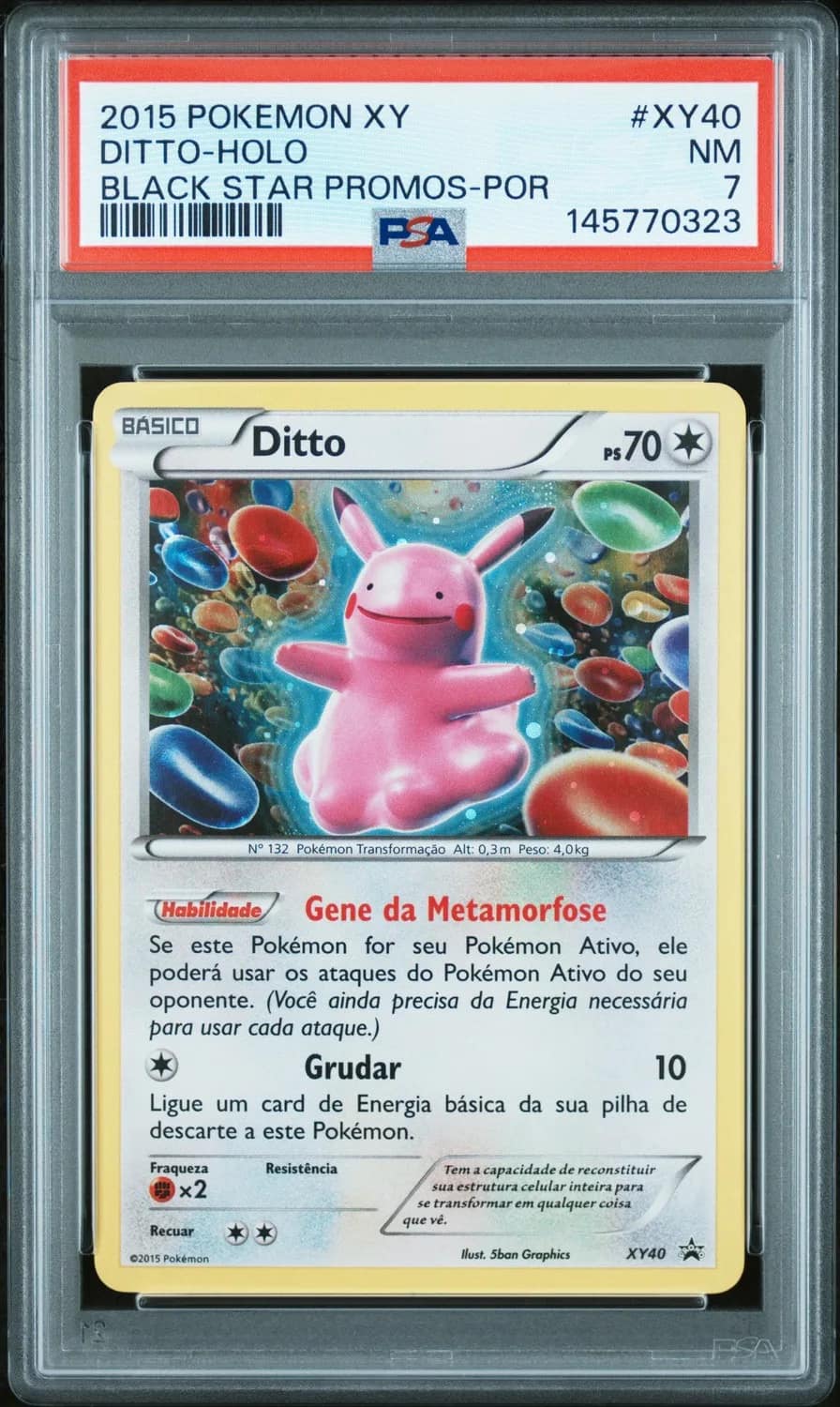 Ditto