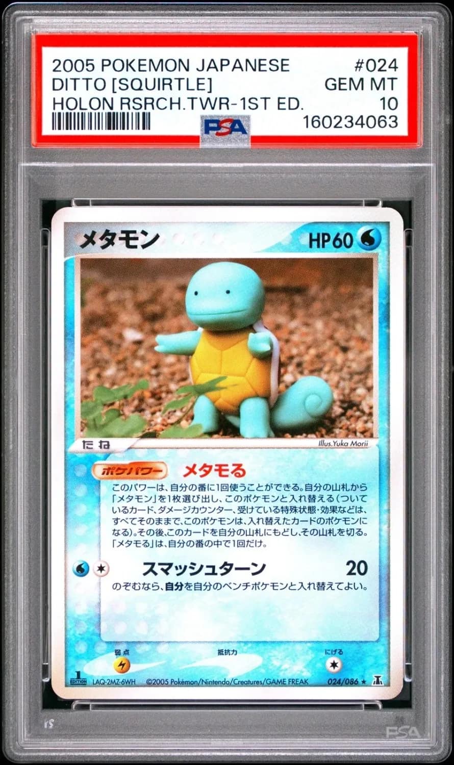 Ditto [squirtle]