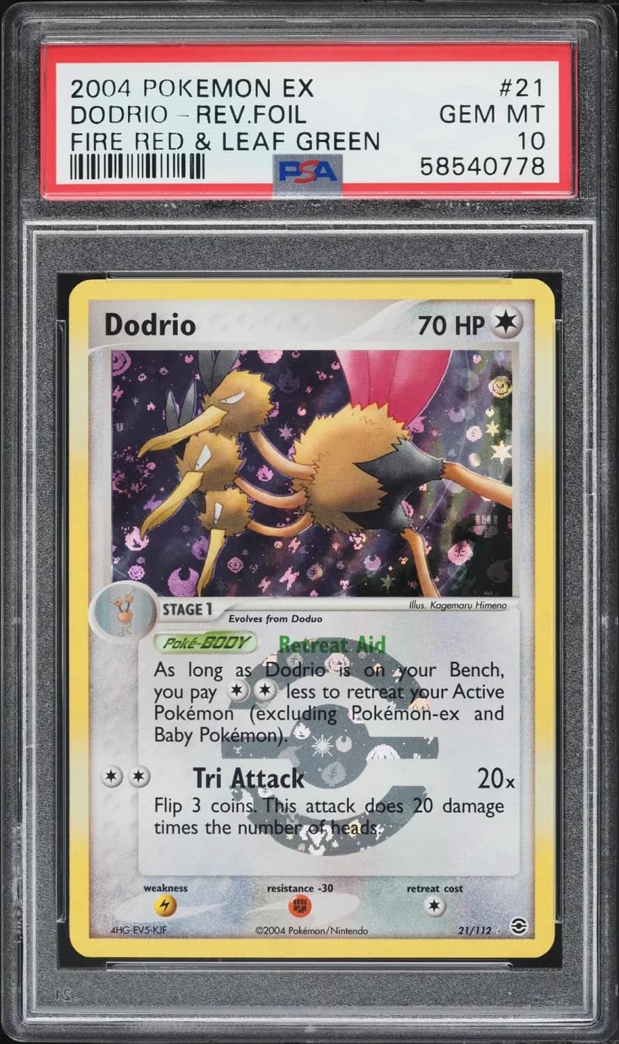 Dodrio