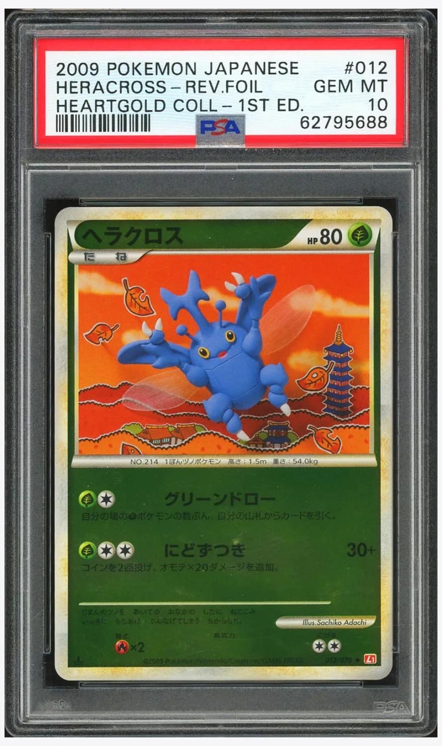 Heracross