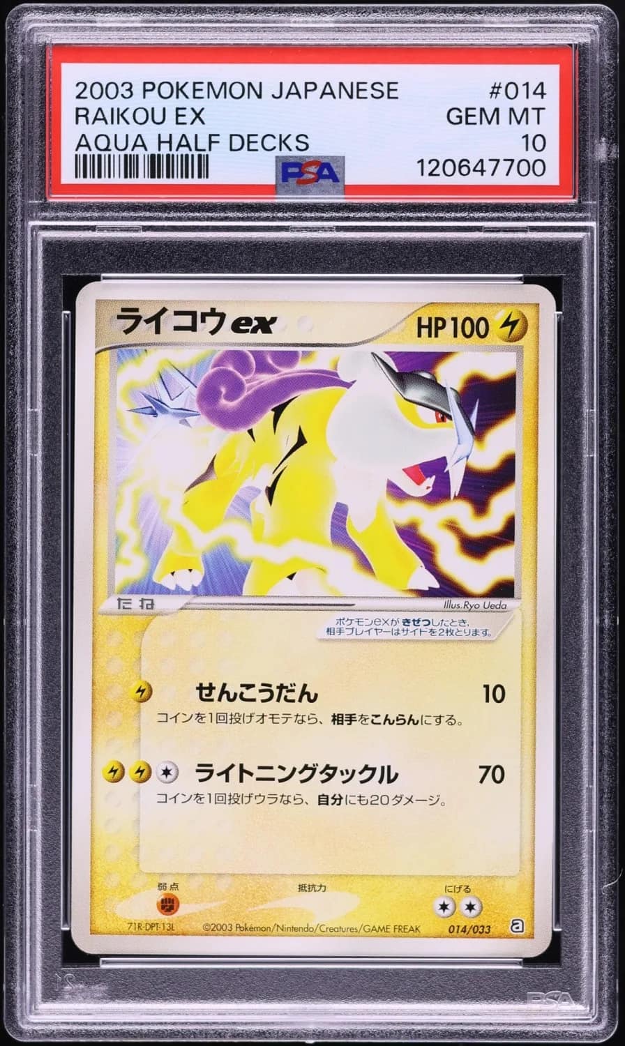 Raikou Ex