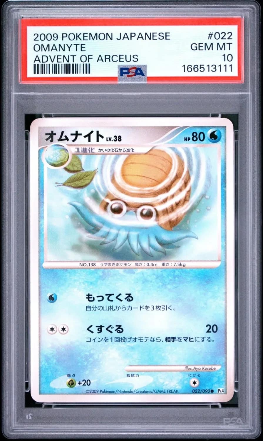 Omanyte