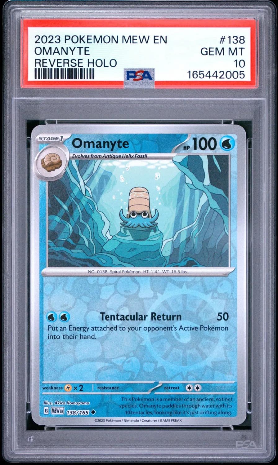 Omanyte