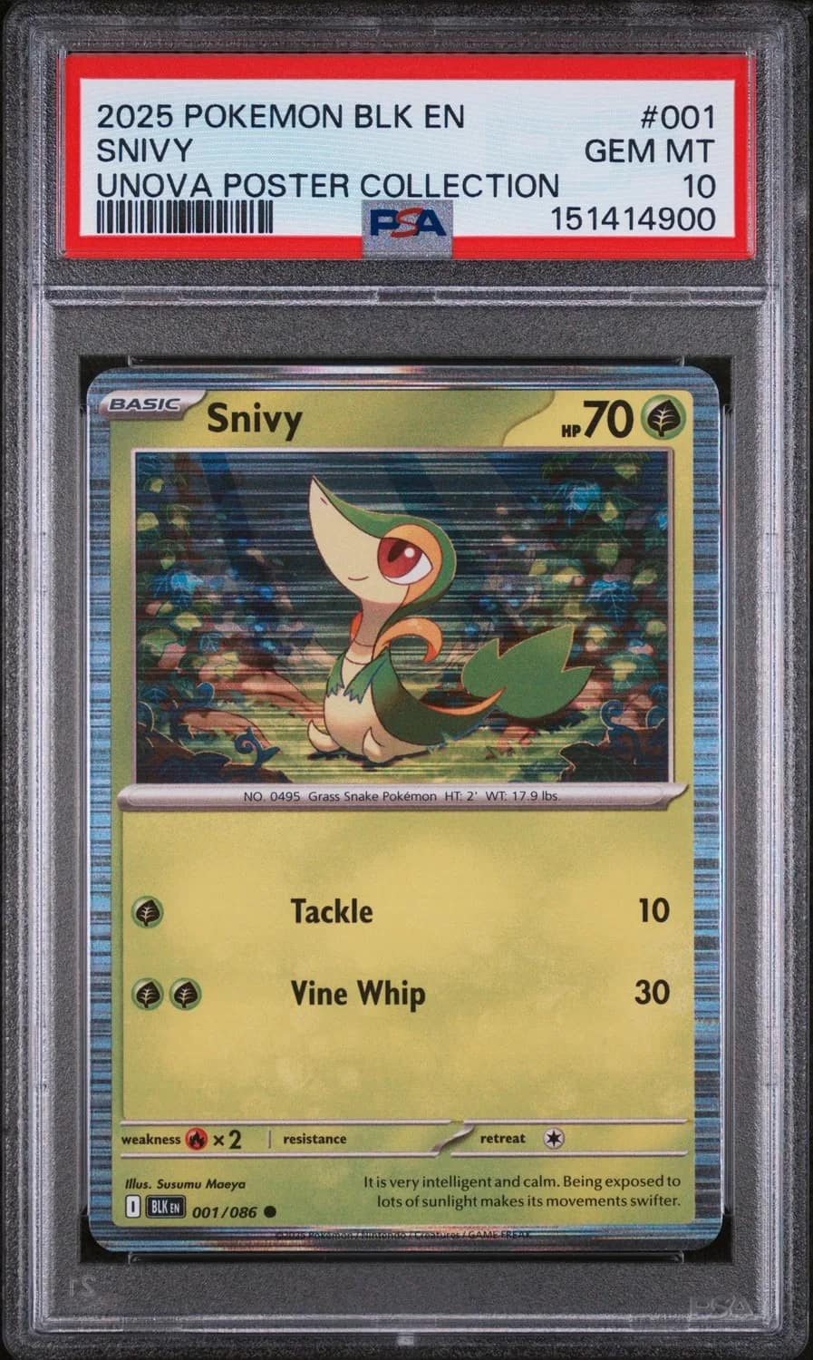 Snivy