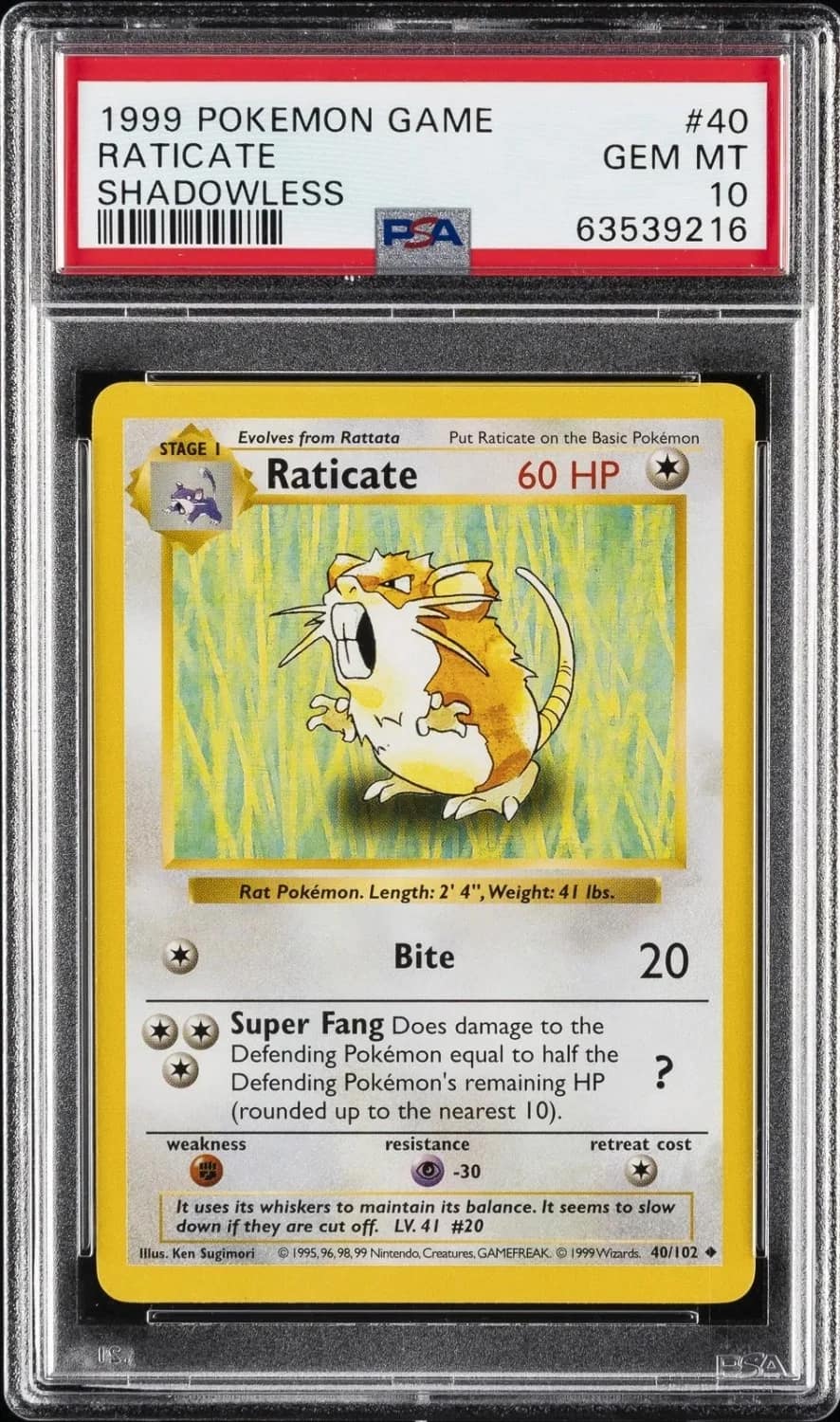 Raticate