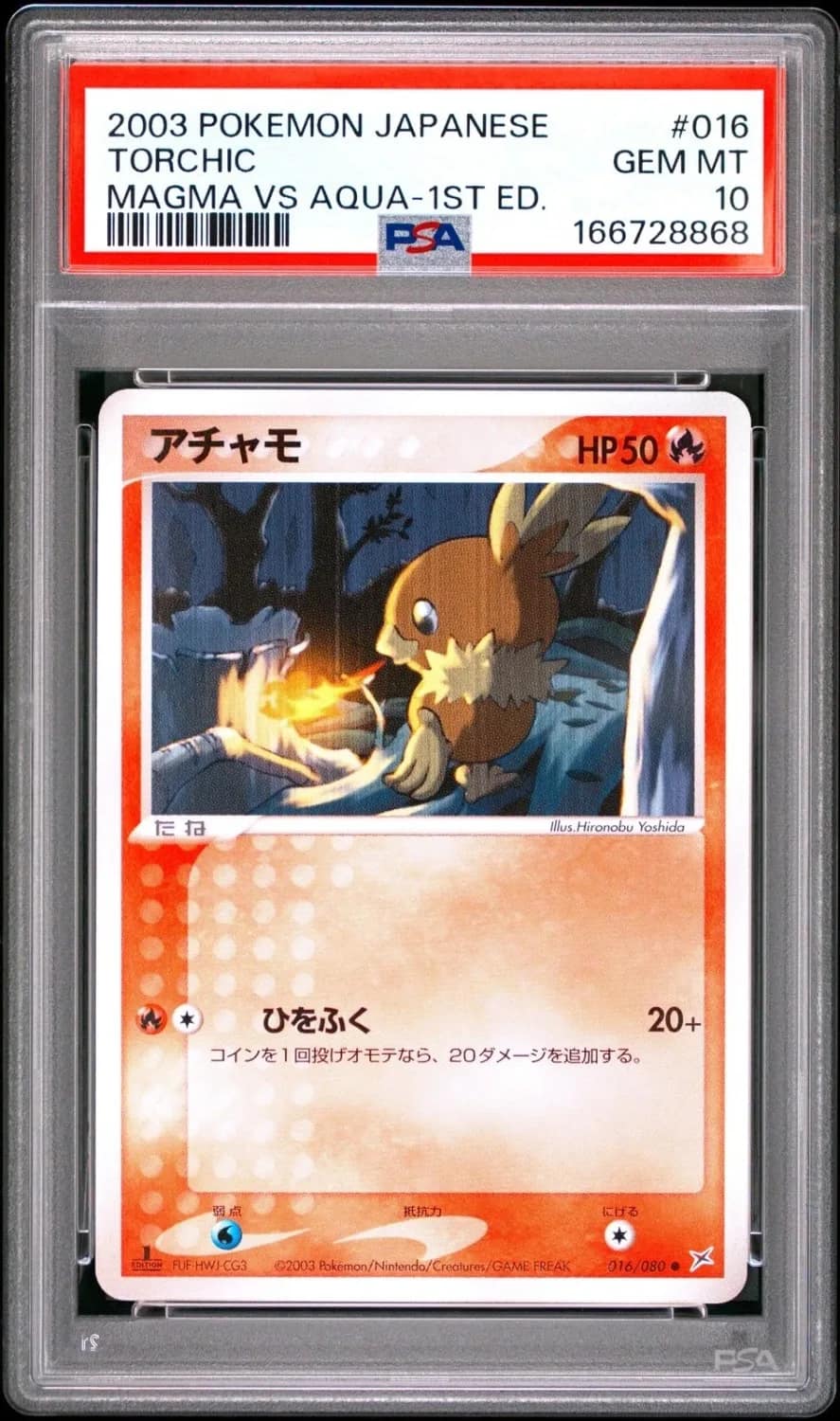Torchic
