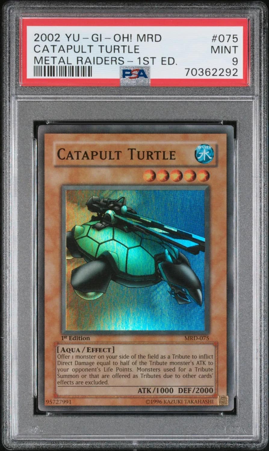 Catapult Turtle