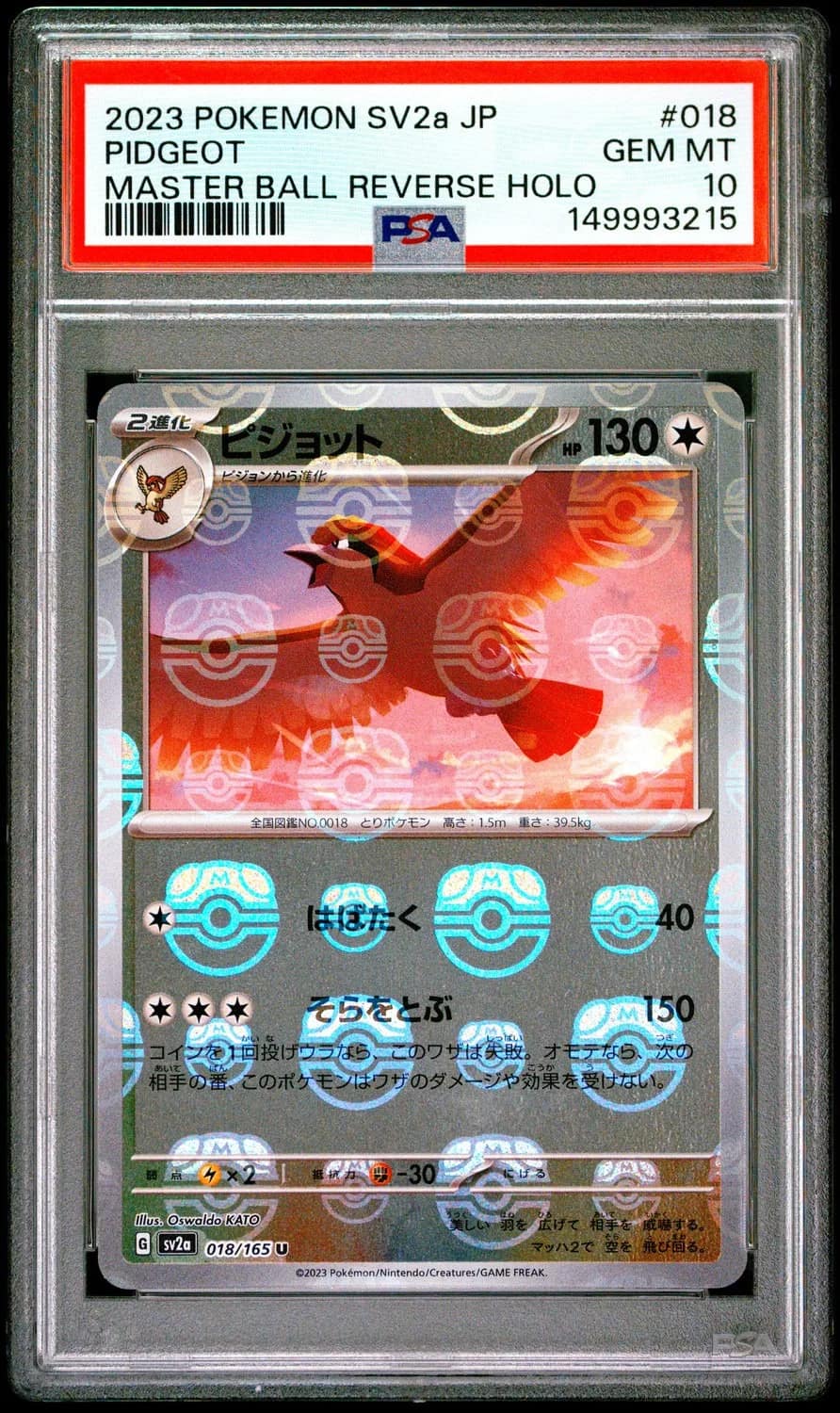 Pidgeot