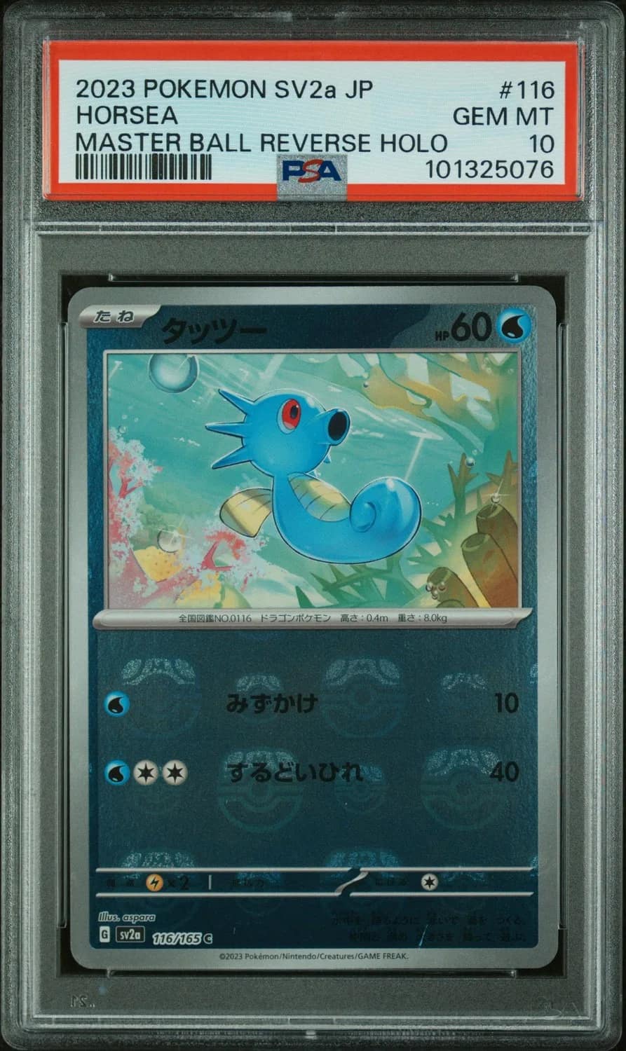 Horsea