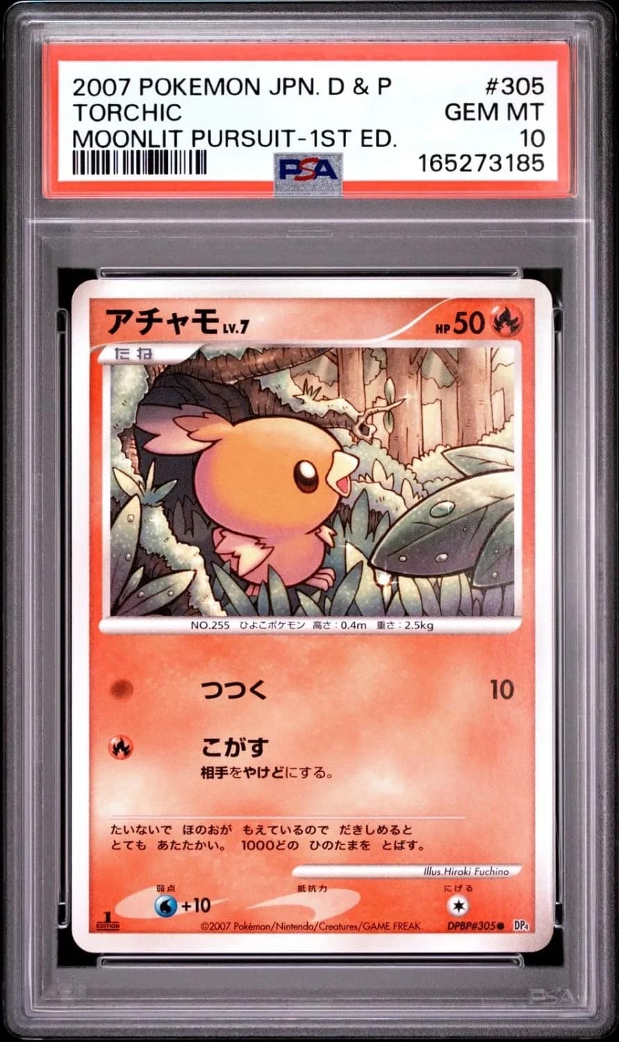 Torchic