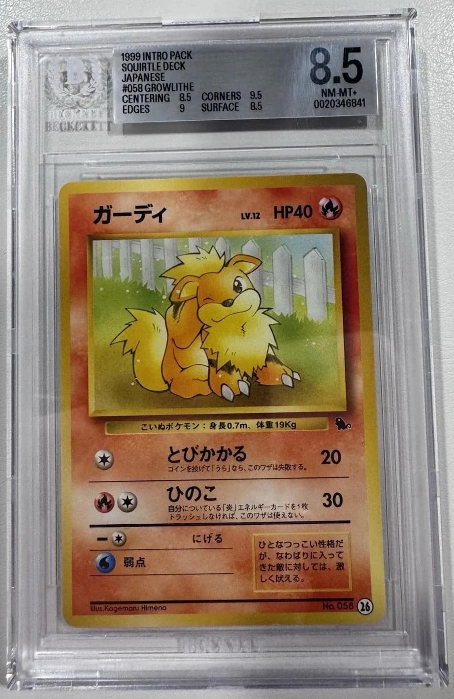 Growlithe (26)