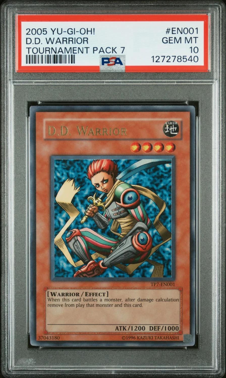 D.d. Warrior