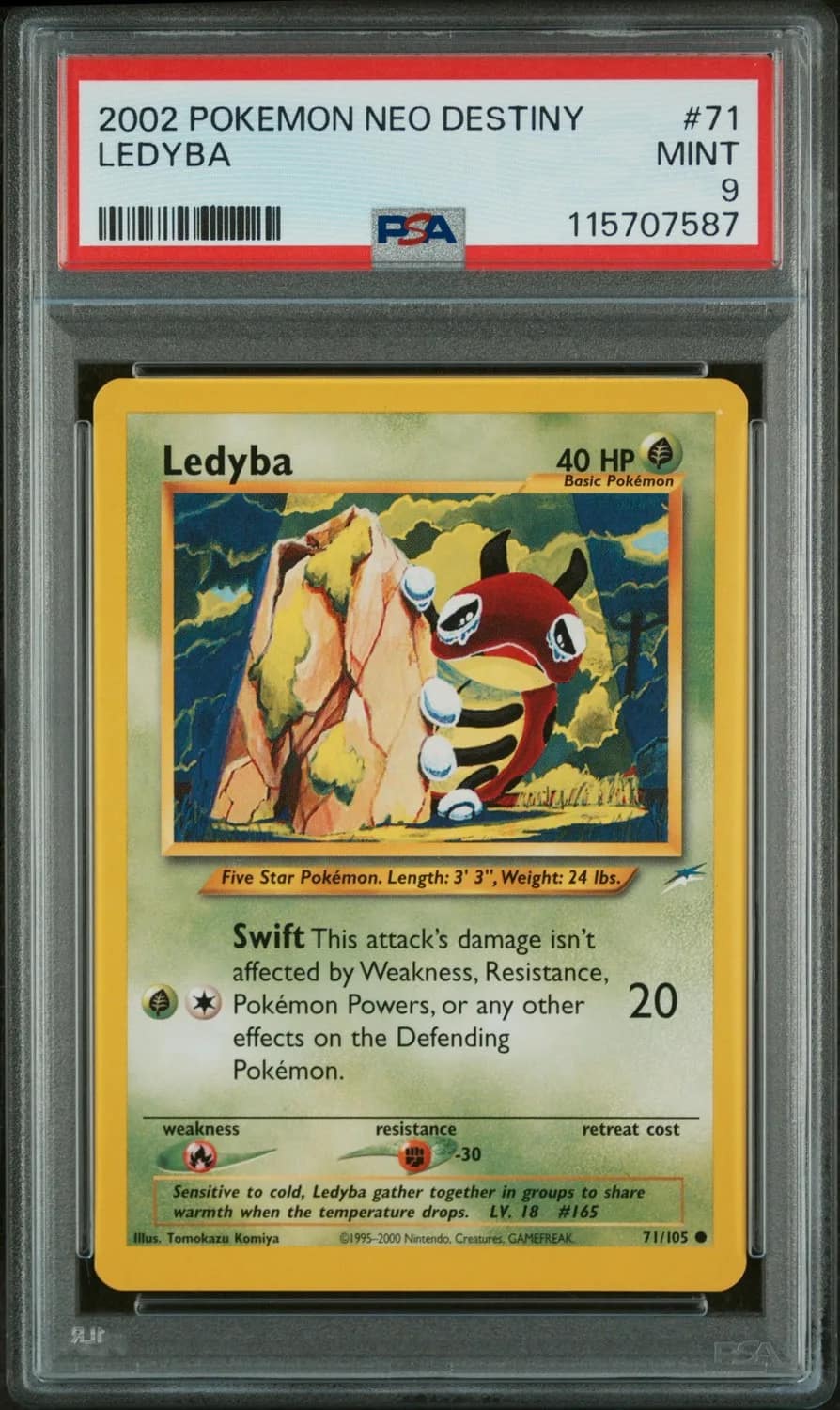 Ledyba