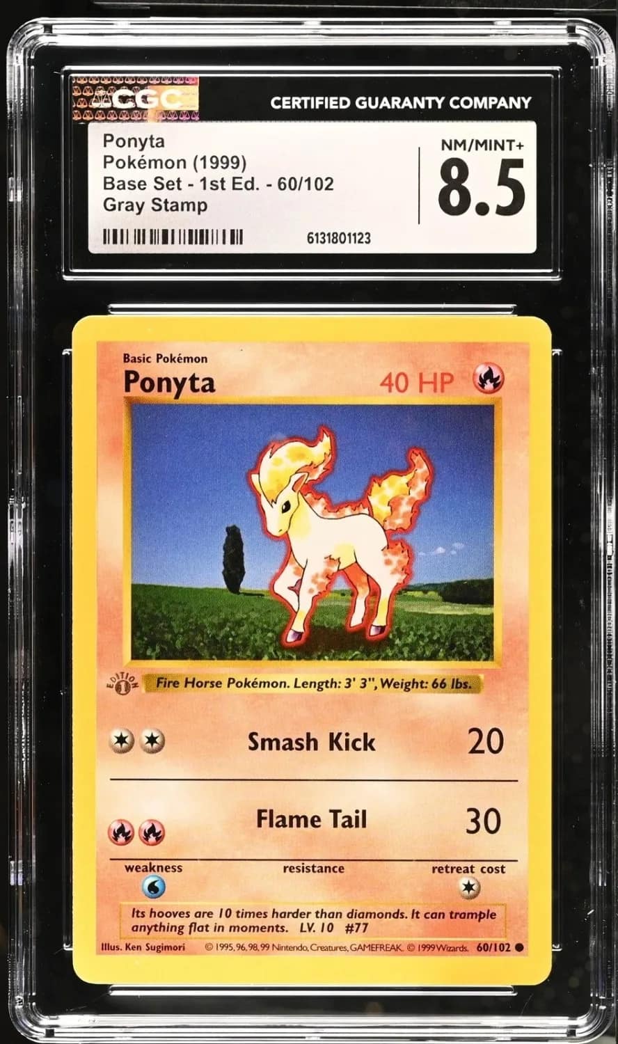 Ponyta