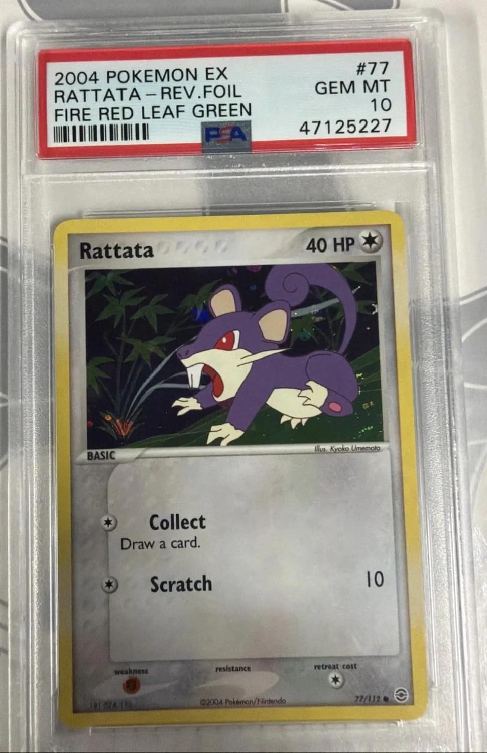 Rattata