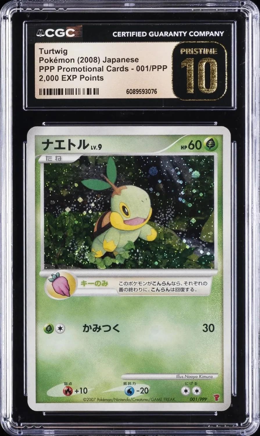 Turtwig