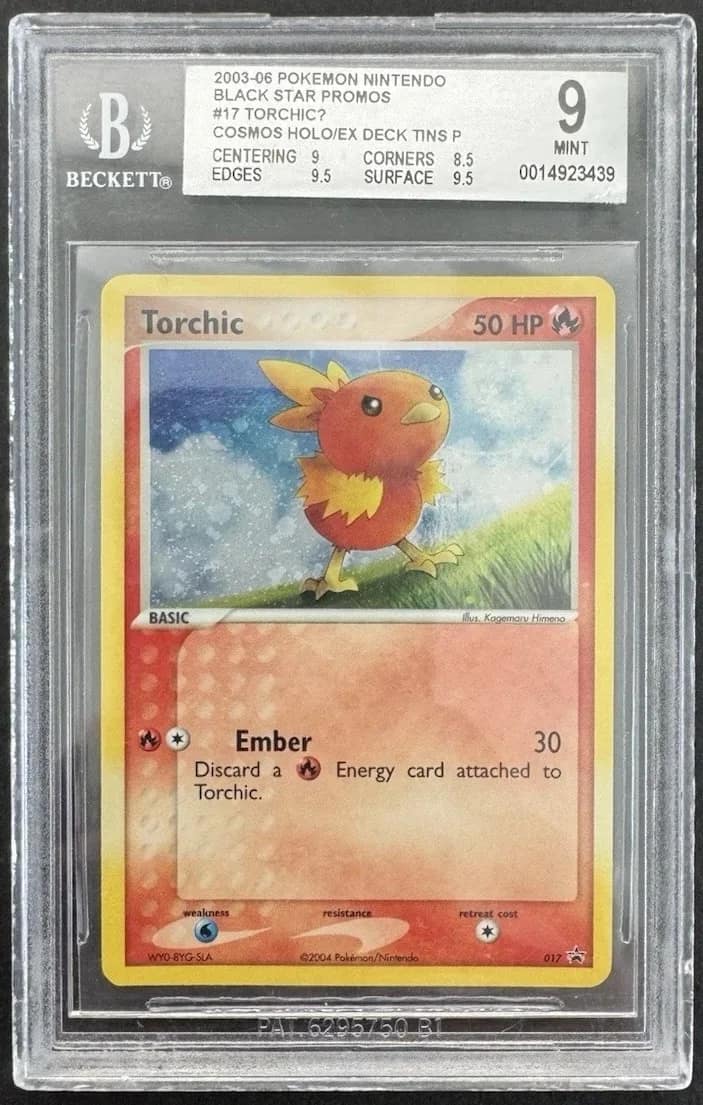 Torchic