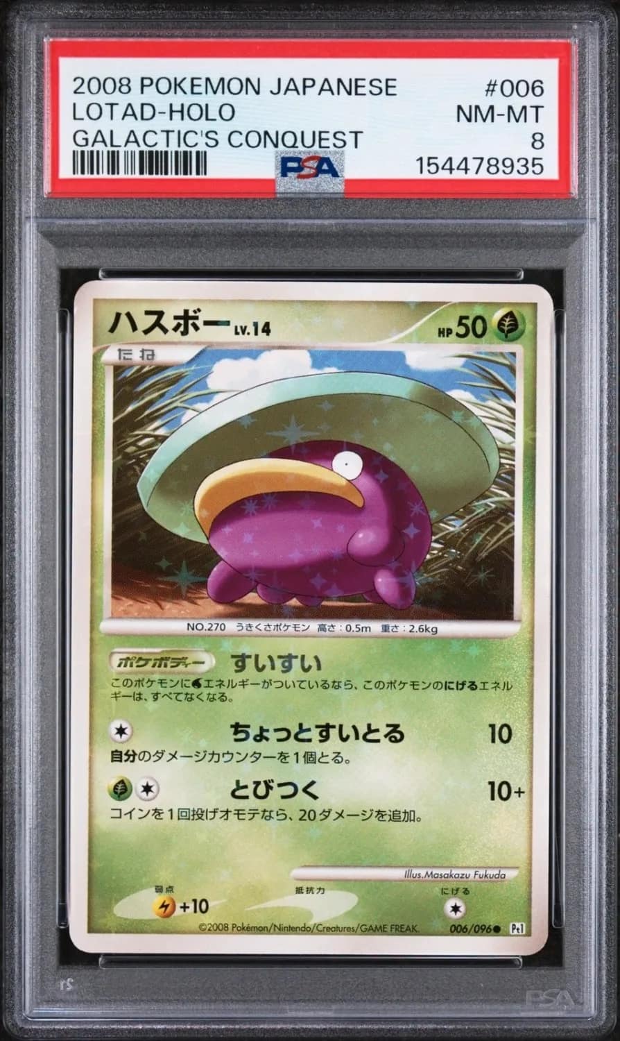 Lotad