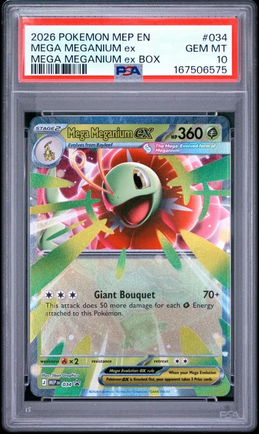 Mega Meganium Ex