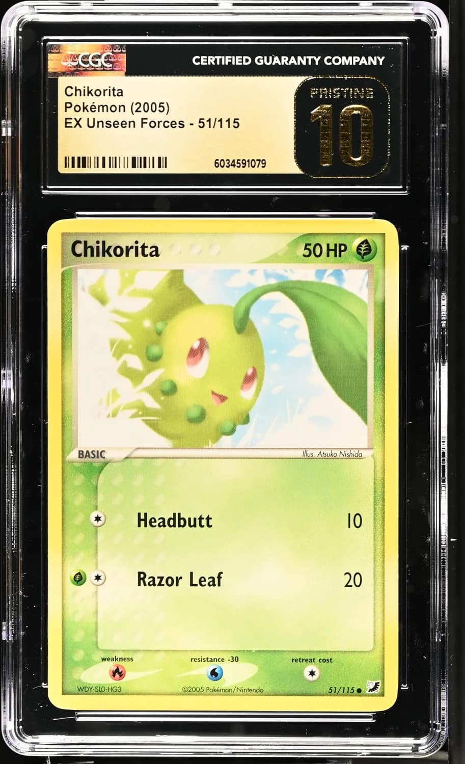 Chikorita