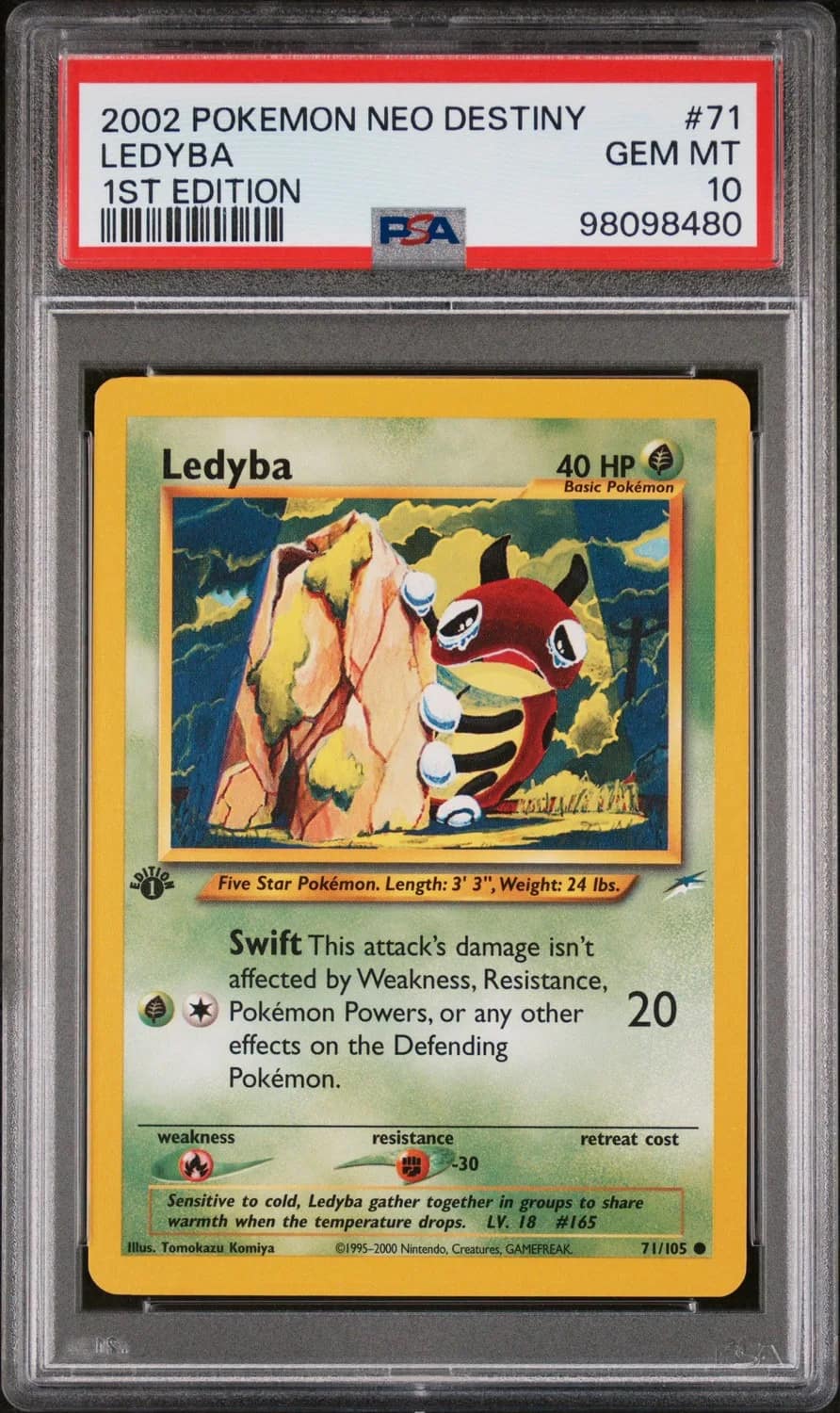 Ledyba