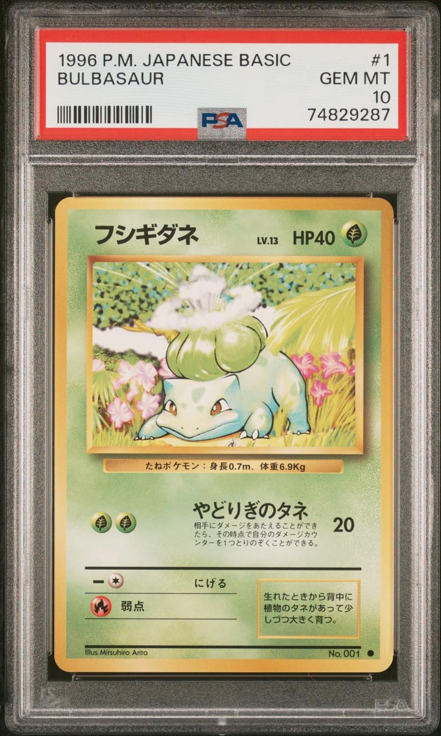 Bulbasaur