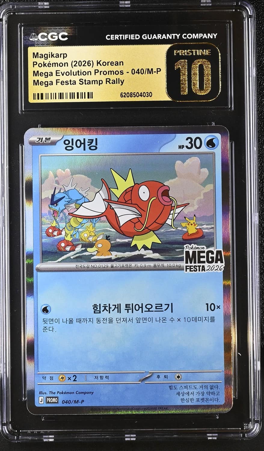 Magikarp