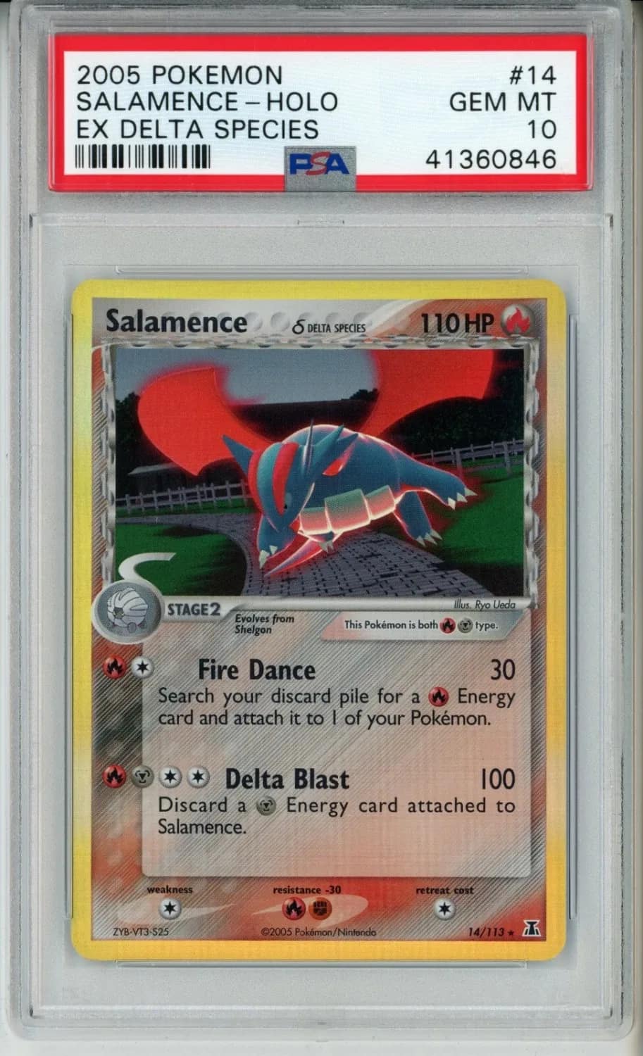 Salamence