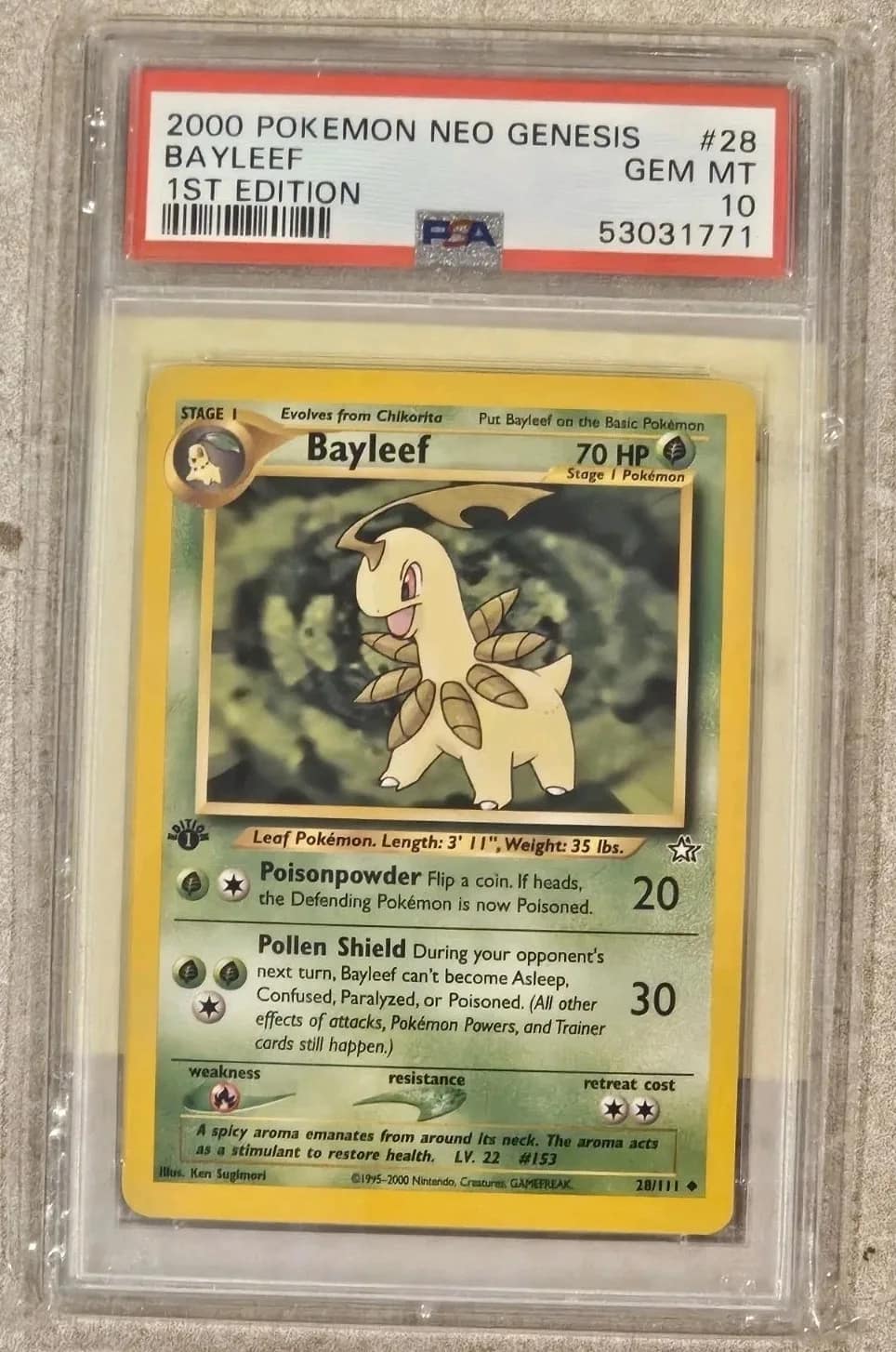 Bayleef