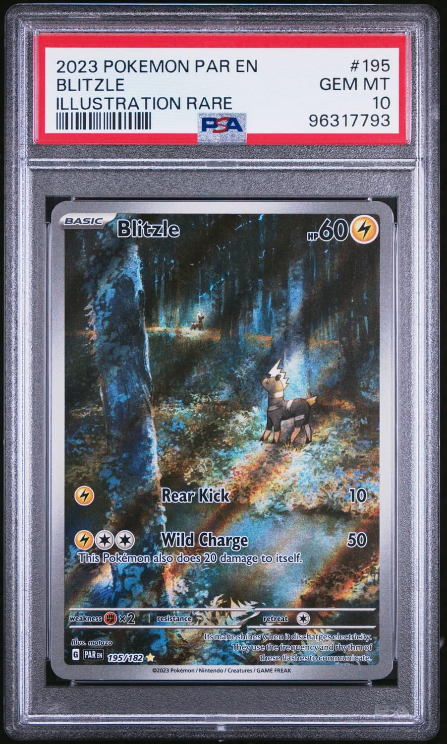 Blitzle