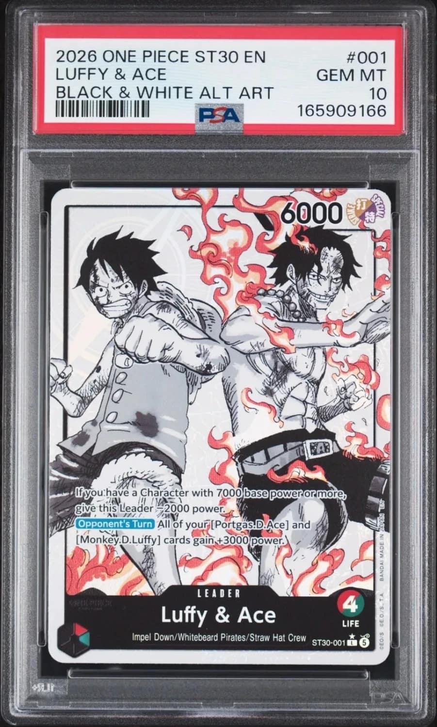 Luffy & Ace