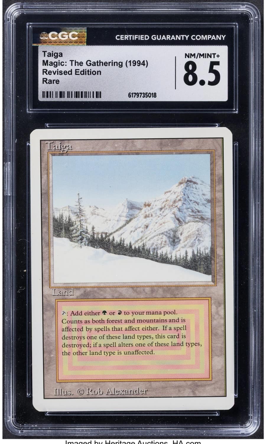 Taiga