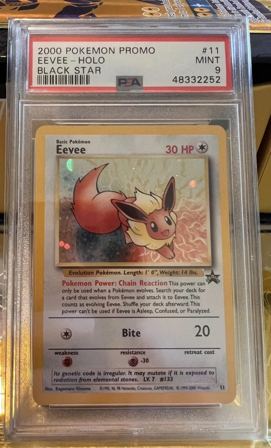 Eevee