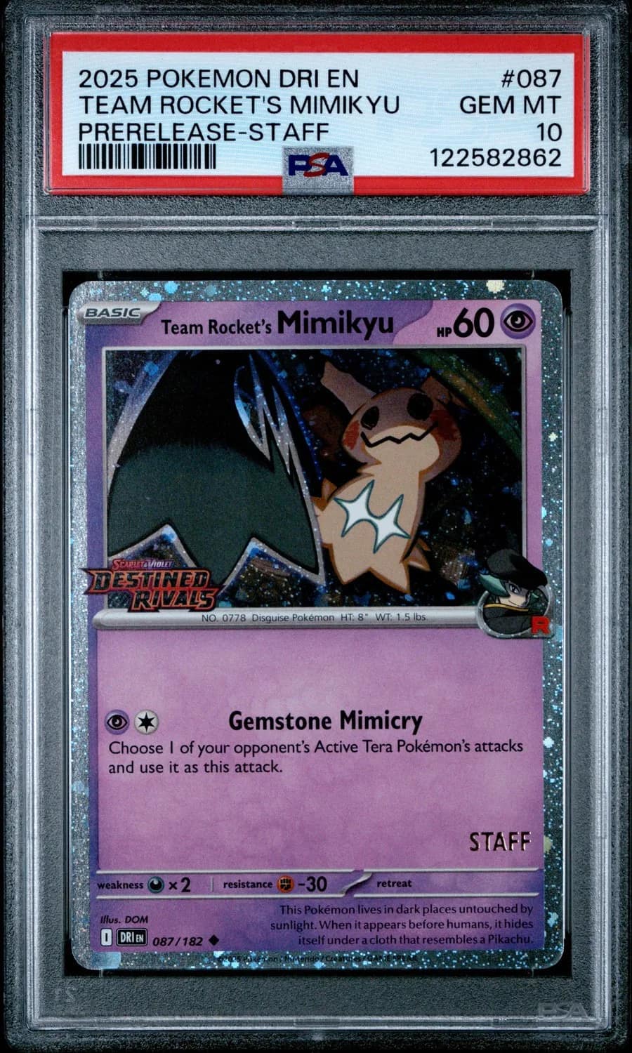 Team Rocket'S Mimikyu