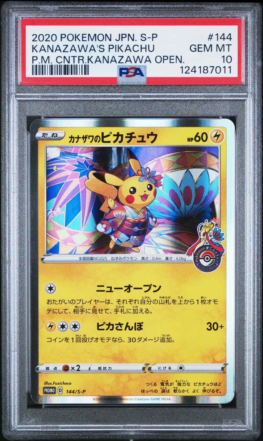 Kanazawa'S Pikachu