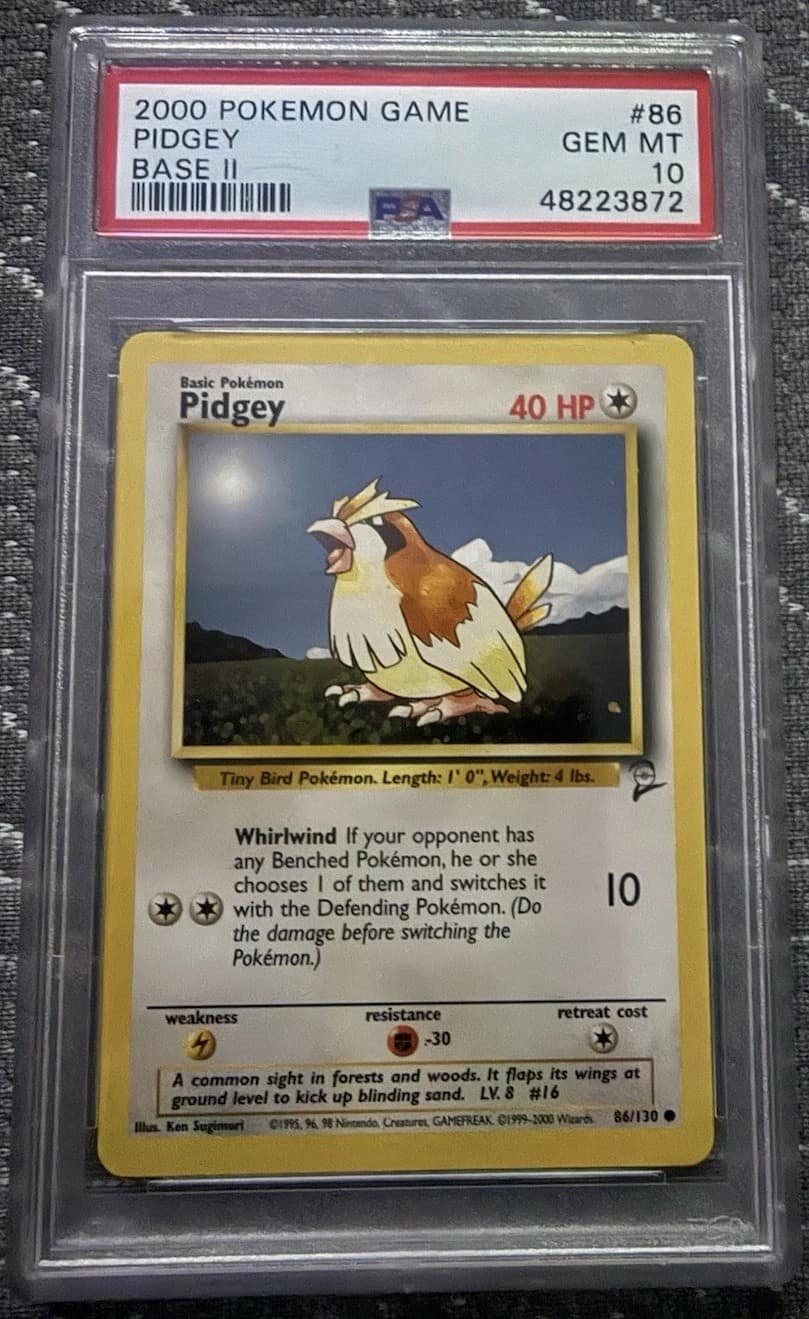 Pidgey