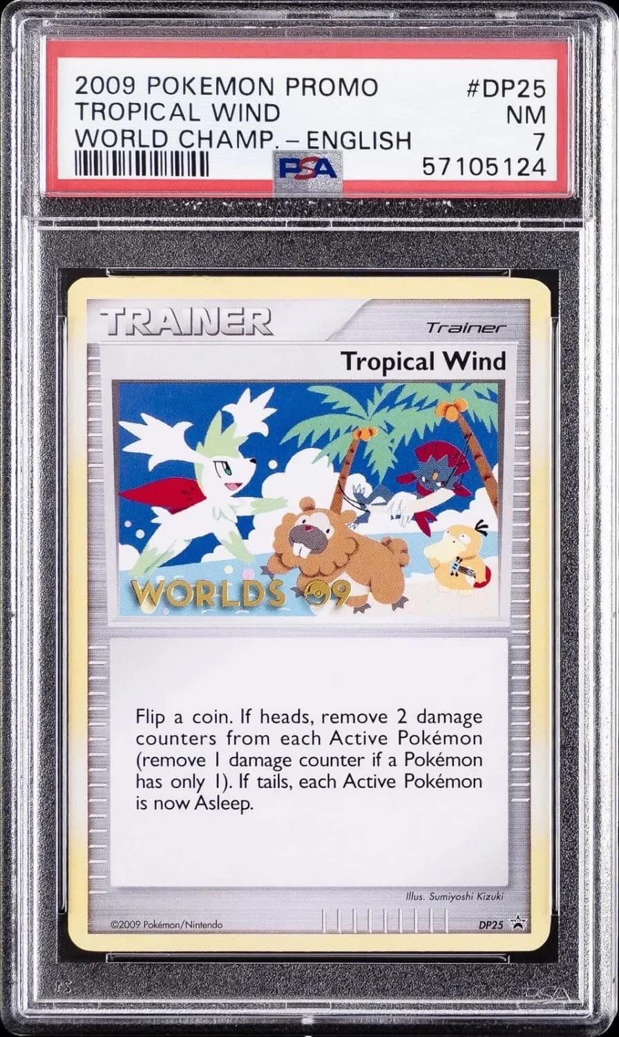 Tropical Wind