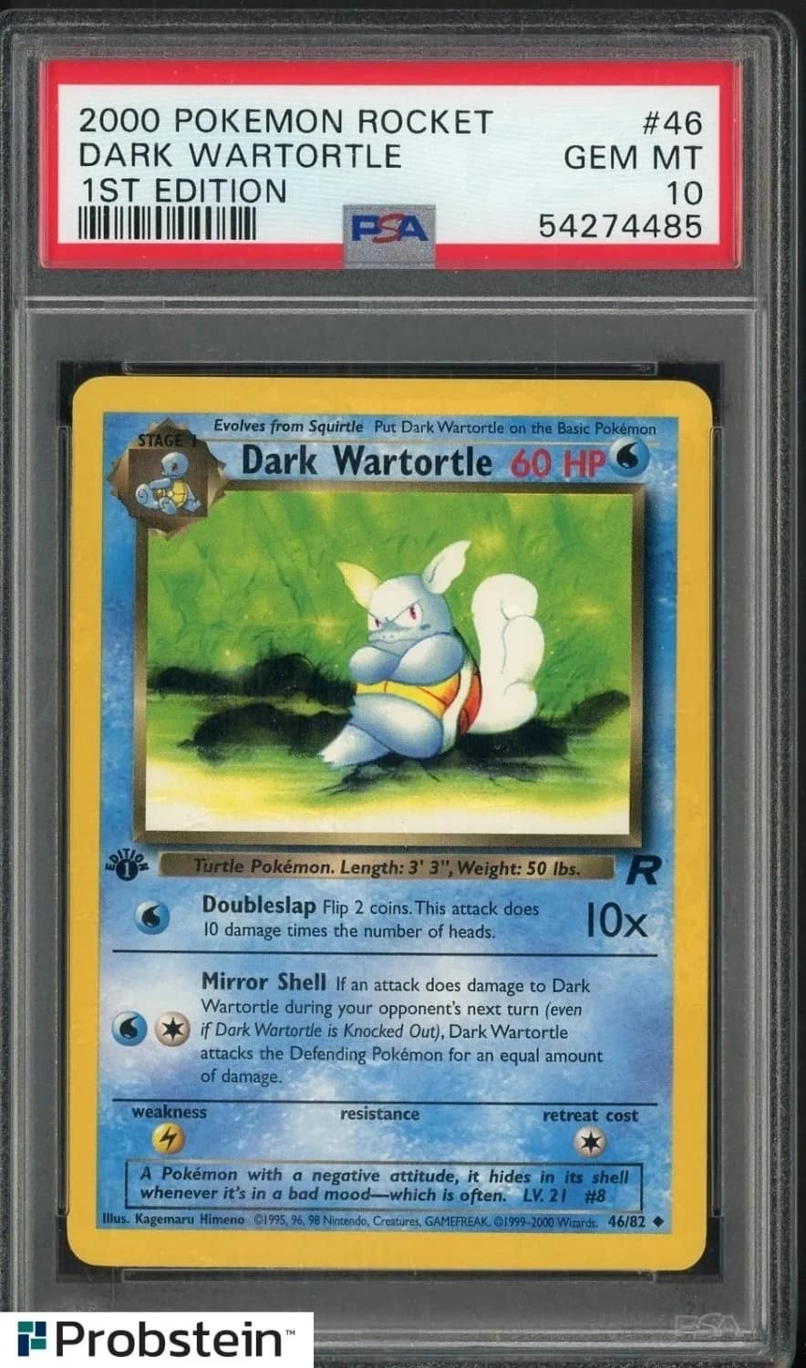 Dark Wartortle
