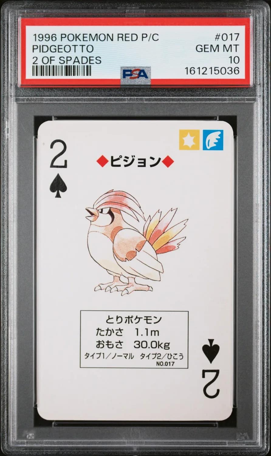 Pidgeotto