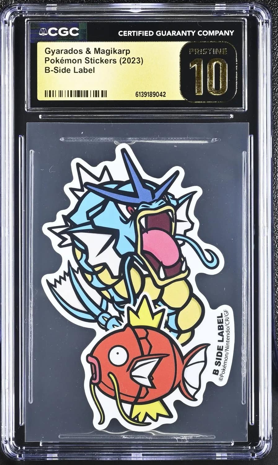 Gyarados & Magikarp