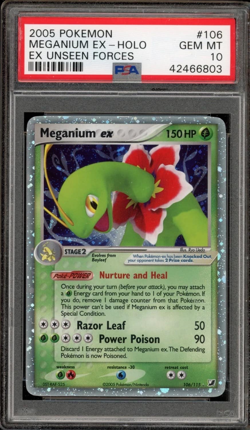 Meganium Ex