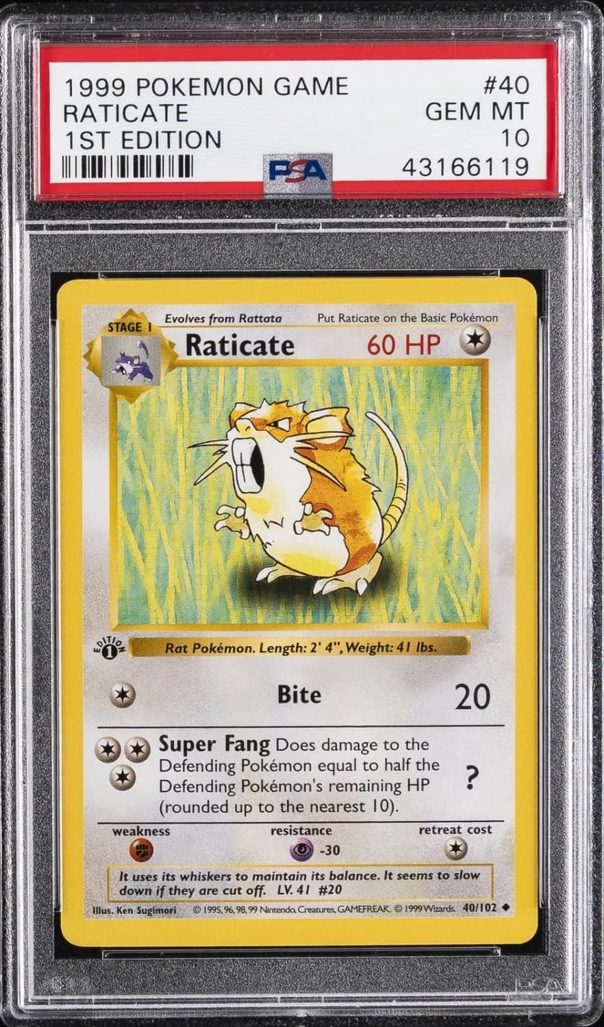 Raticate