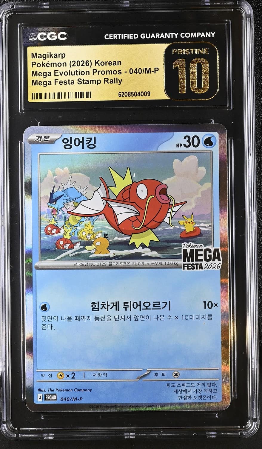 Magikarp