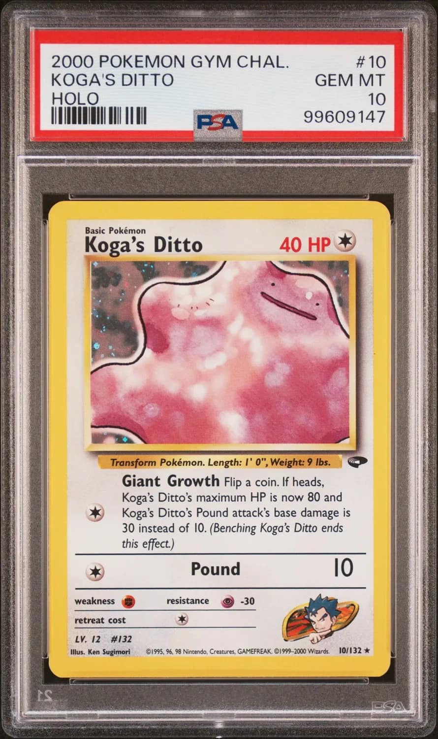 Koga'S Ditto
