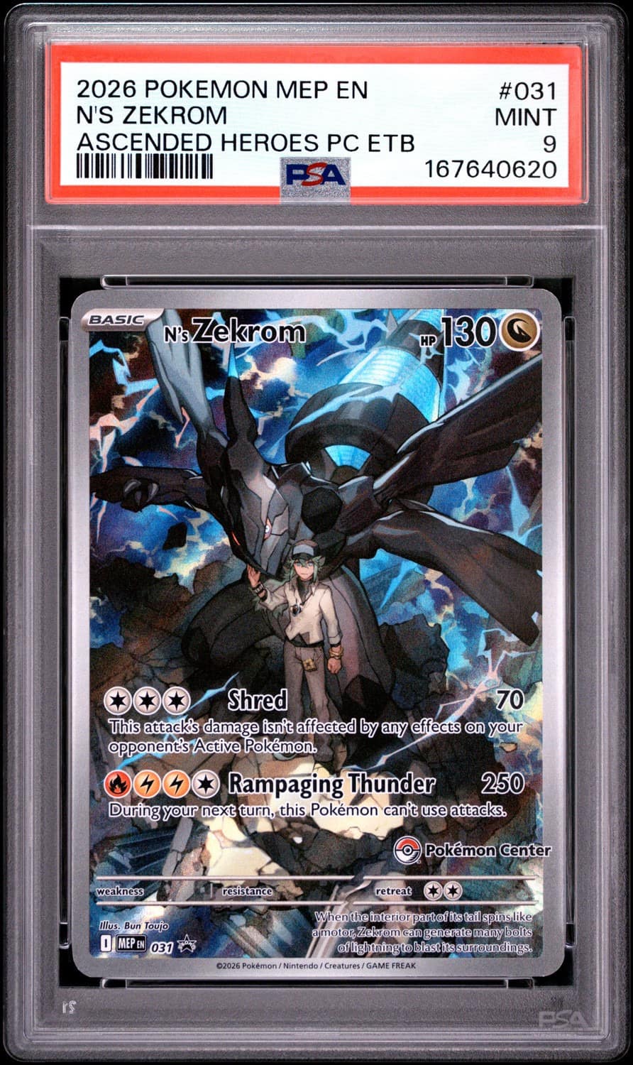 N'S Zekrom