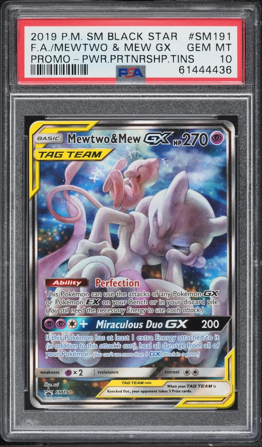Mewtwo & Mew Gx